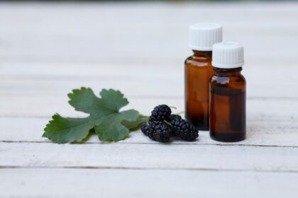 Beneficiile extractului din frunze de dud: susținere naturală pentru glicemie, inimă și imunitate