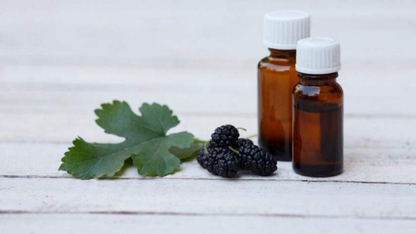 Beneficiile extractului din frunze de dud: susținere naturală pentru glicemie, inimă și imunitate