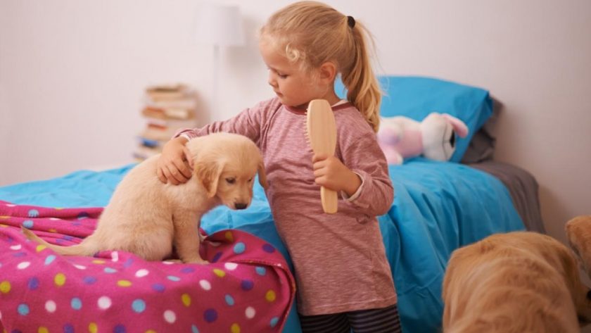 Durerile de creștere la copii – când sunt normale și ce poți face pentru a le calma