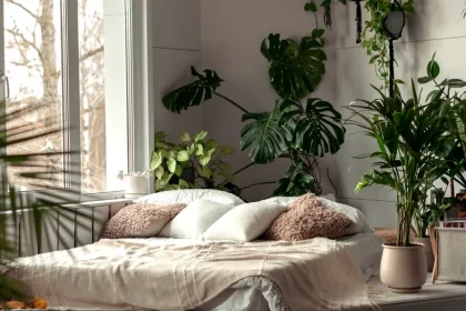 Plantele care țin casa mereu parfumată. Alternative naturale la odorizantele chimice